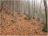 Tržič - Breška planina